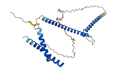 MLX 3D structure