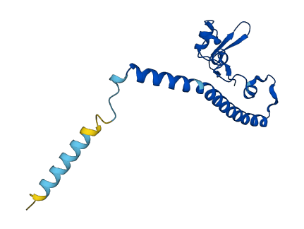 RSL24D1 3D structure