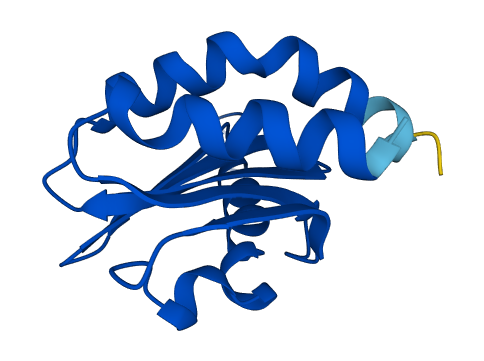 LAMTOR3 3D structure