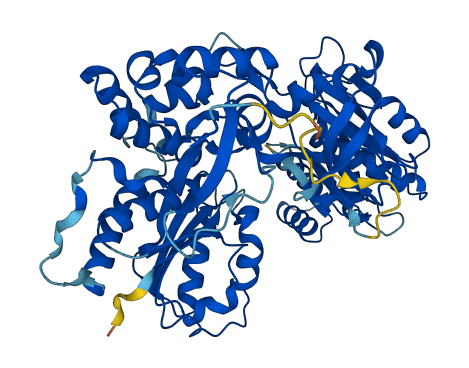 NDOR1 3D structure