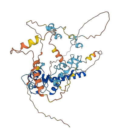 MKRN1 3D structure