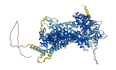 NPC1L1 3D structure
