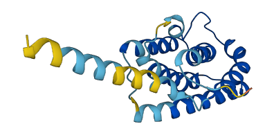 IL19 3D structure