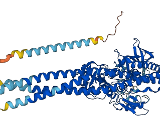 TBK1 3D structure