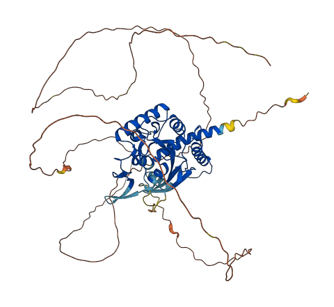 SEPTIN9 3D structure