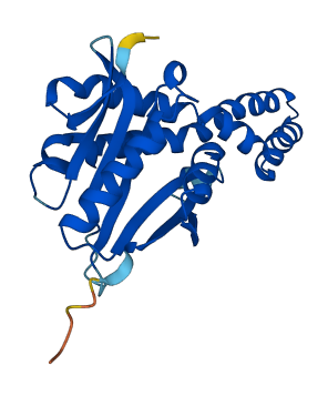 NAT8 3D structure