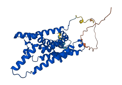 STEAP1 3D structure