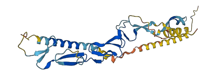 EGFL7 3D structure