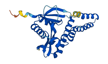 NAT8B 3D structure