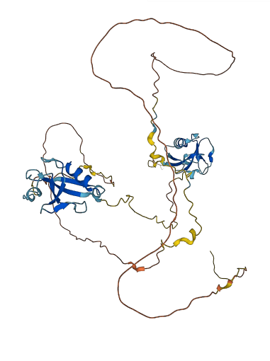 DCDC2 3D structure