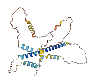 PCSK1N 3D structure