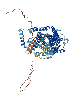 SLC7A8 3D structure