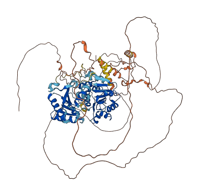 DDX20 3D structure