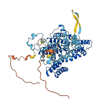 SLC23A1 3D structure