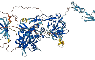 ADAMTS1 3D structure