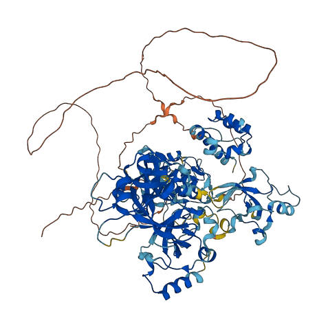 SFMBT1 3D structure