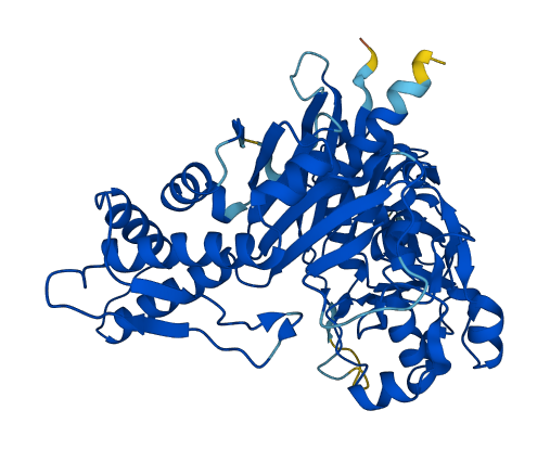 SHPK 3D structure