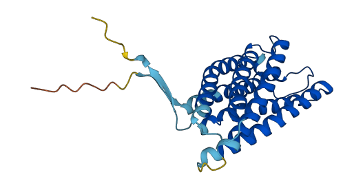 PGAP2 3D structure