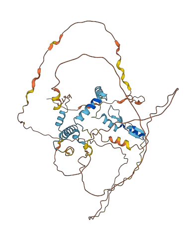 NUFIP1 3D structure