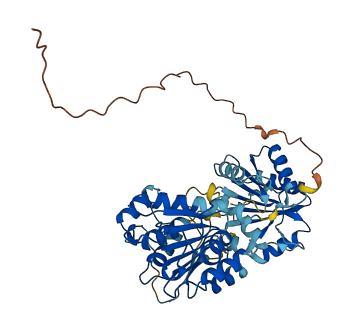 DDX25 3D structure