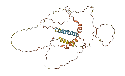 FAM153A 3D structure