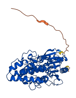 DPP7 3D structure