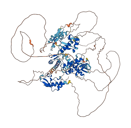 GTF2IRD1 3D structure