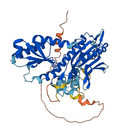 POLG2 3D structure