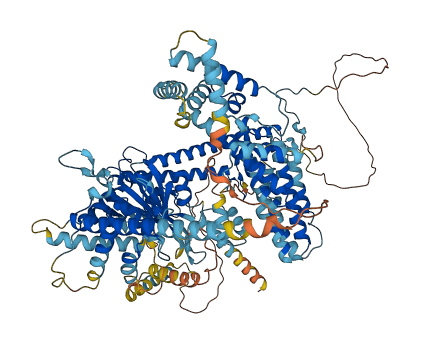 USP25 3D structure