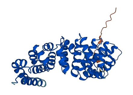 RSPH14 3D structure