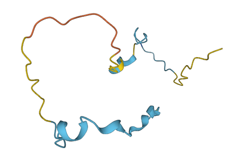 SMPX 3D structure
