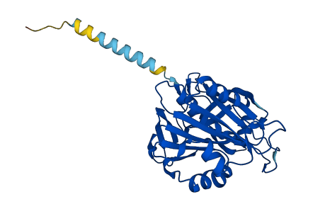 CYB5R1 3D structure