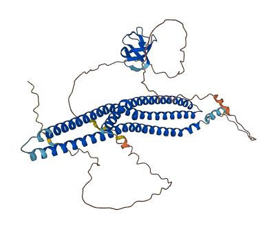 BAIAP2L1 3D structure