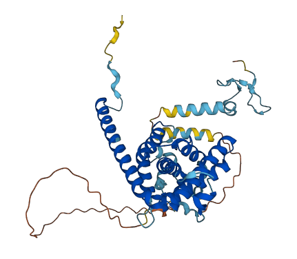 ZNHIT2 3D structure