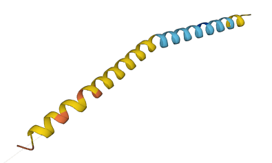 PRO1854 3D structure