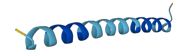 PRO1716 3D structure