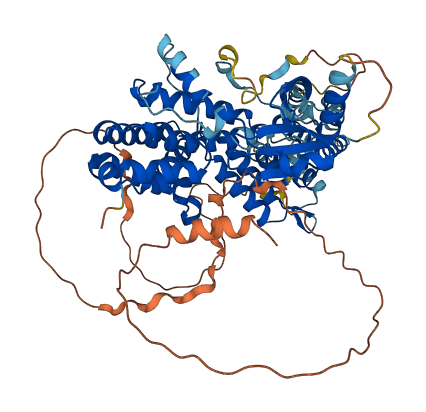 RAPGEFL1 3D structure