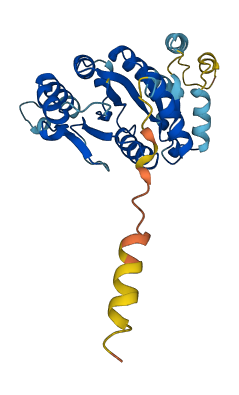 GPN3 3D structure