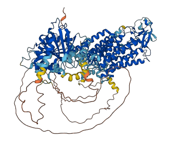 SLC12A6 3D structure