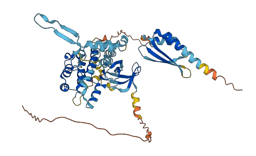 NRBP1 3D structure