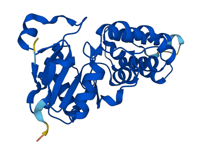 ENOPH1 3D structure