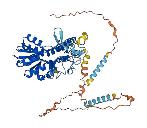EIF2B4 3D structure