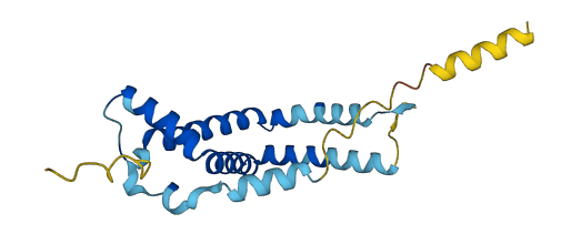 RABAC1 3D structure