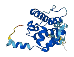 TAGLN3 3D structure