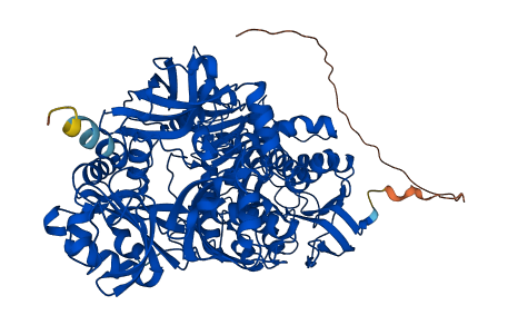 DMGDH 3D structure