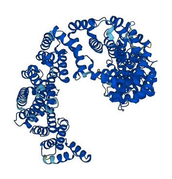 IPO11 3D structure
