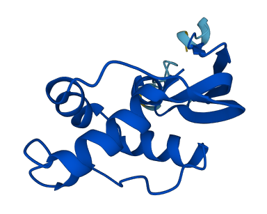TRMT112 3D structure