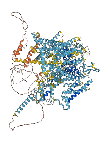 SCN11A 3D structure