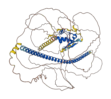 DACH1 3D structure