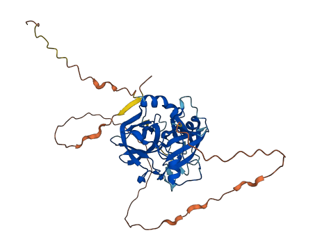 PRSS50 3D structure